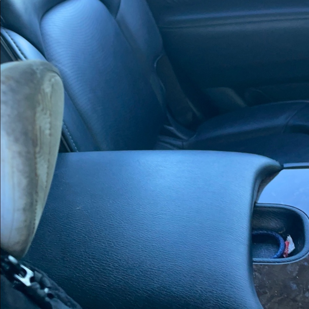 Meet your Posher, Marleigh